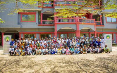 Ado Avance Ensemble (AAE)